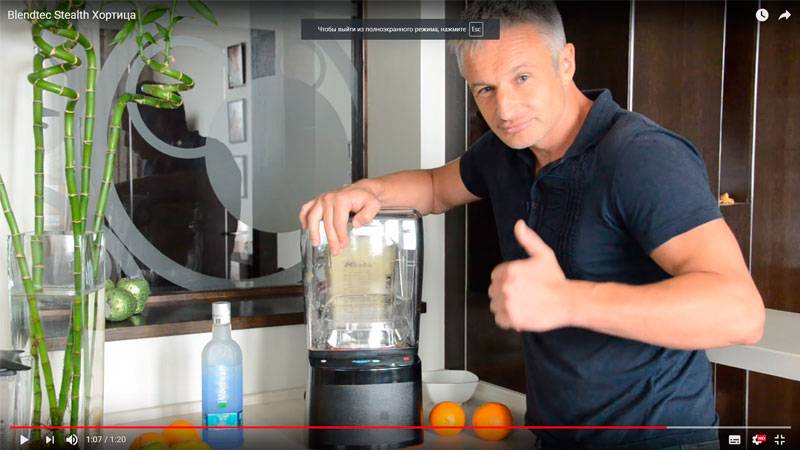 Blendtec Stealth Хортица